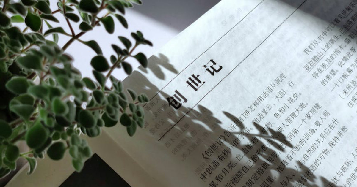 Top 9 Questions About MoneyRoo's Multi-Account Management Answered